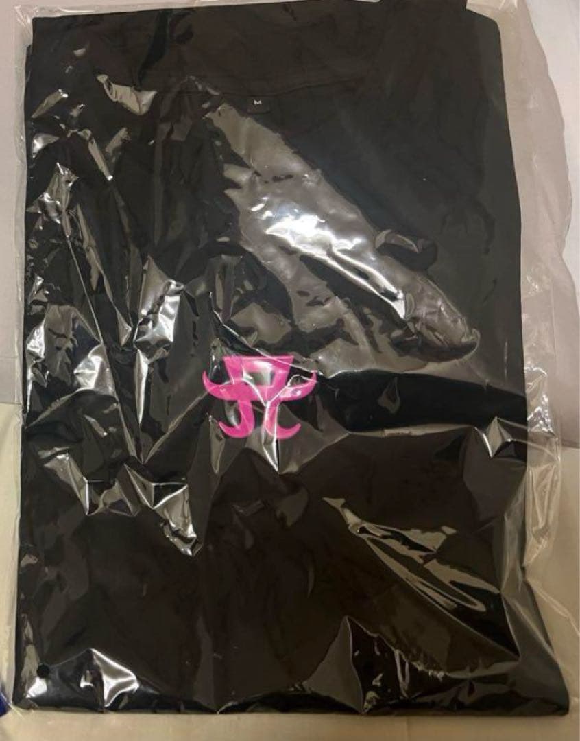 浜崎あゆみエーネーショングッズ2025