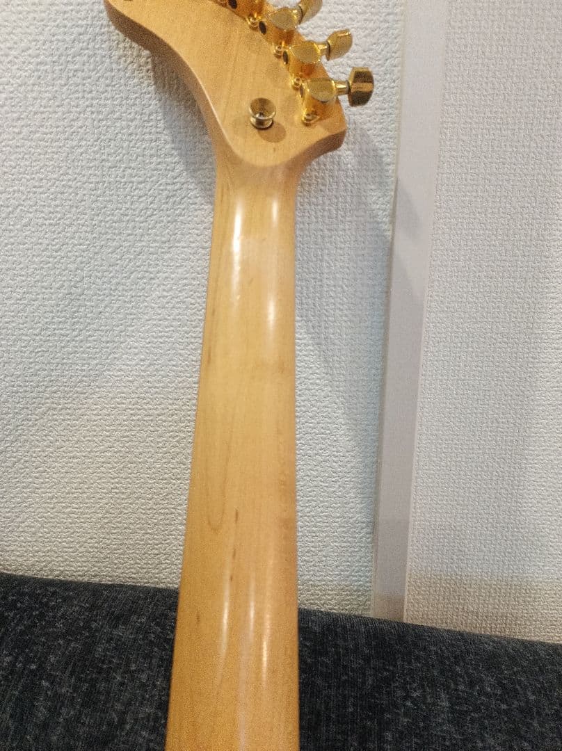 FERNANDES DIGI-ZO HYPER ZO-3　ジャンク