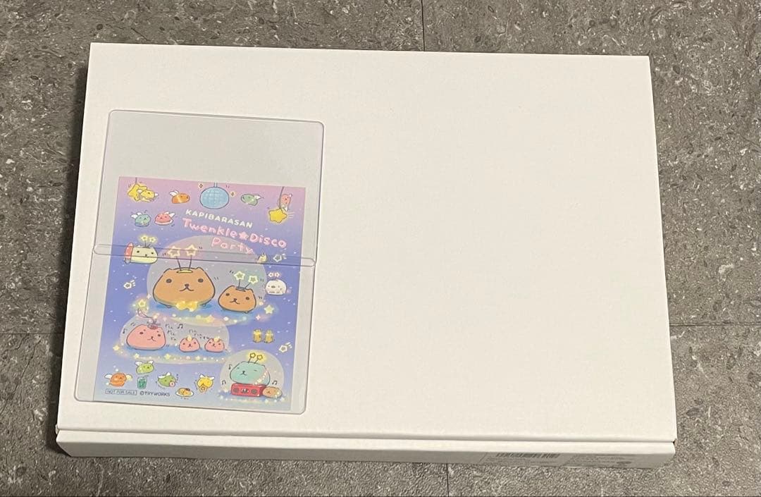 カピバラさん　ウォールキャンバス　チダケイコ　直筆サイン入り　20th