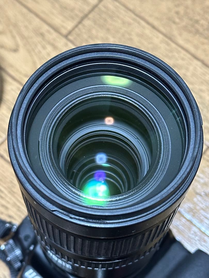 手羽先TAMRON 70-200mm F/2.8 Di VC (A009)