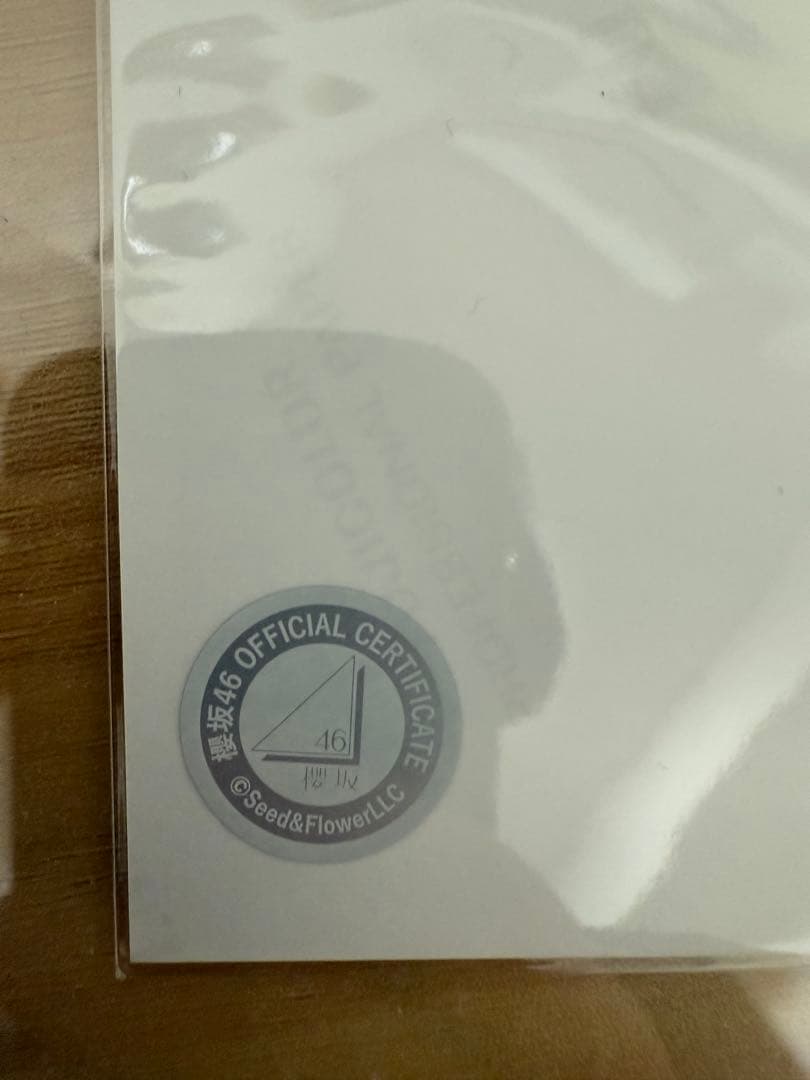 櫻坂46 遠藤理子 直筆サイン入り生写真