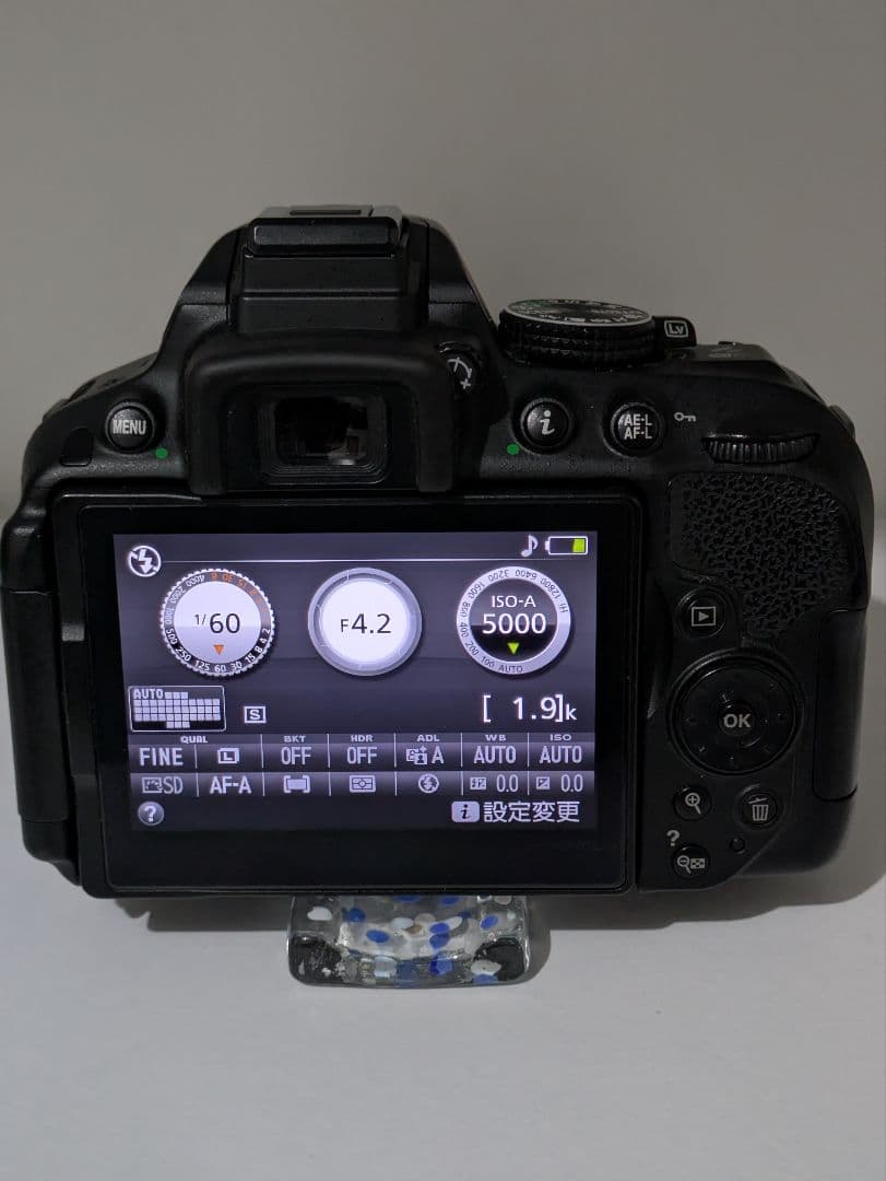 お得セット✨NIKON　D5300✨トリプルレンズ✨