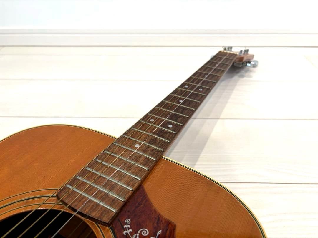 roje メイプル　ハミングバード　アコースティックギター　アコギ