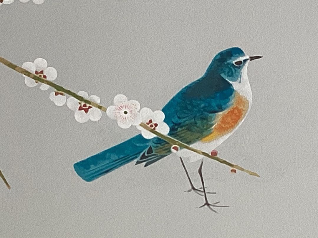 上村淳之　版画　「雪中小禽」直筆サイン・エディション　美品　日本画 金色フレーム