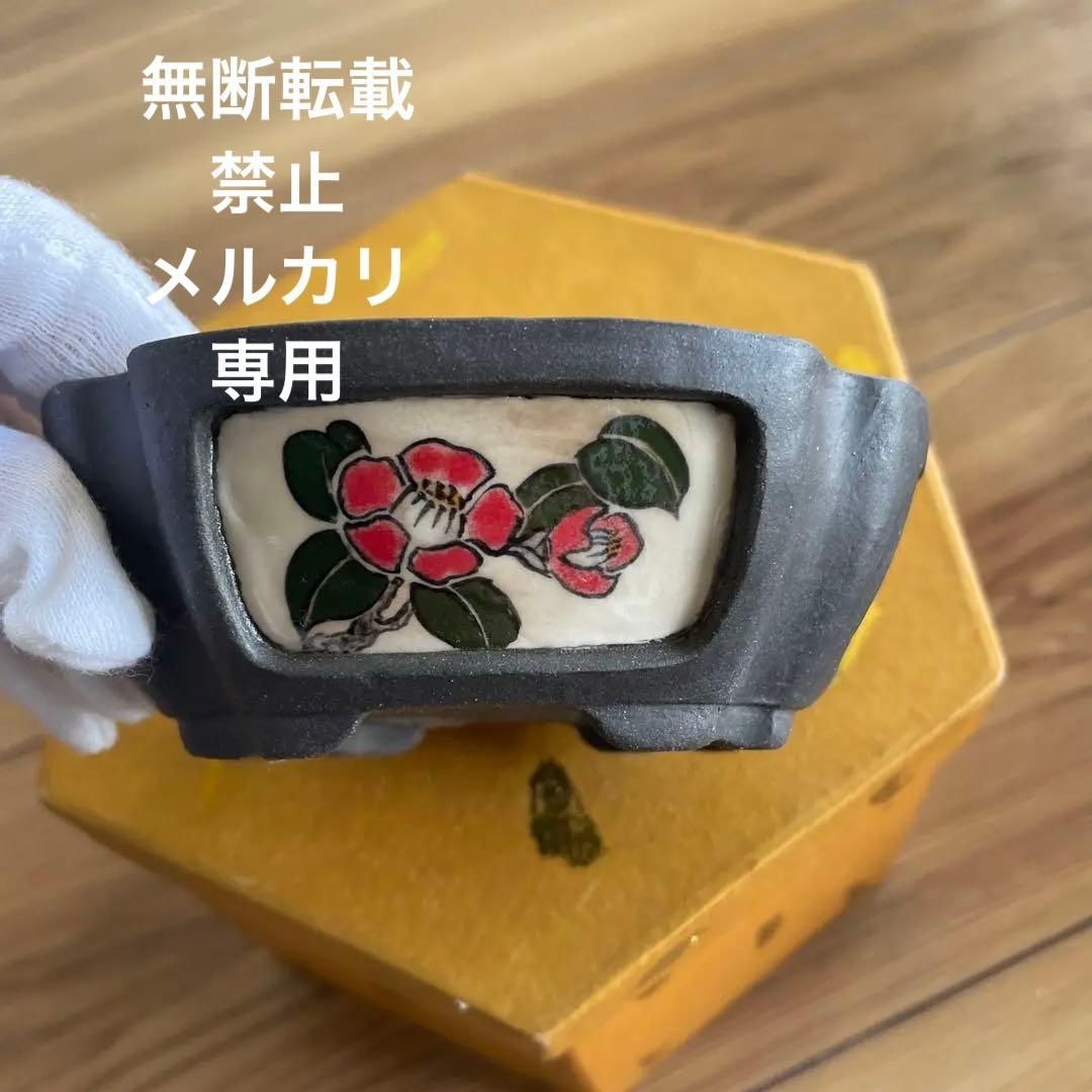 ミニ盆栽鉢　小品盆栽　桑津香石　絵鉢　椿　菖蒲　山野草
