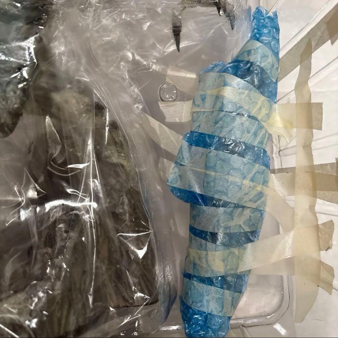 アントラー 「ウルトラマン」 KAIJU REMIX SERIES