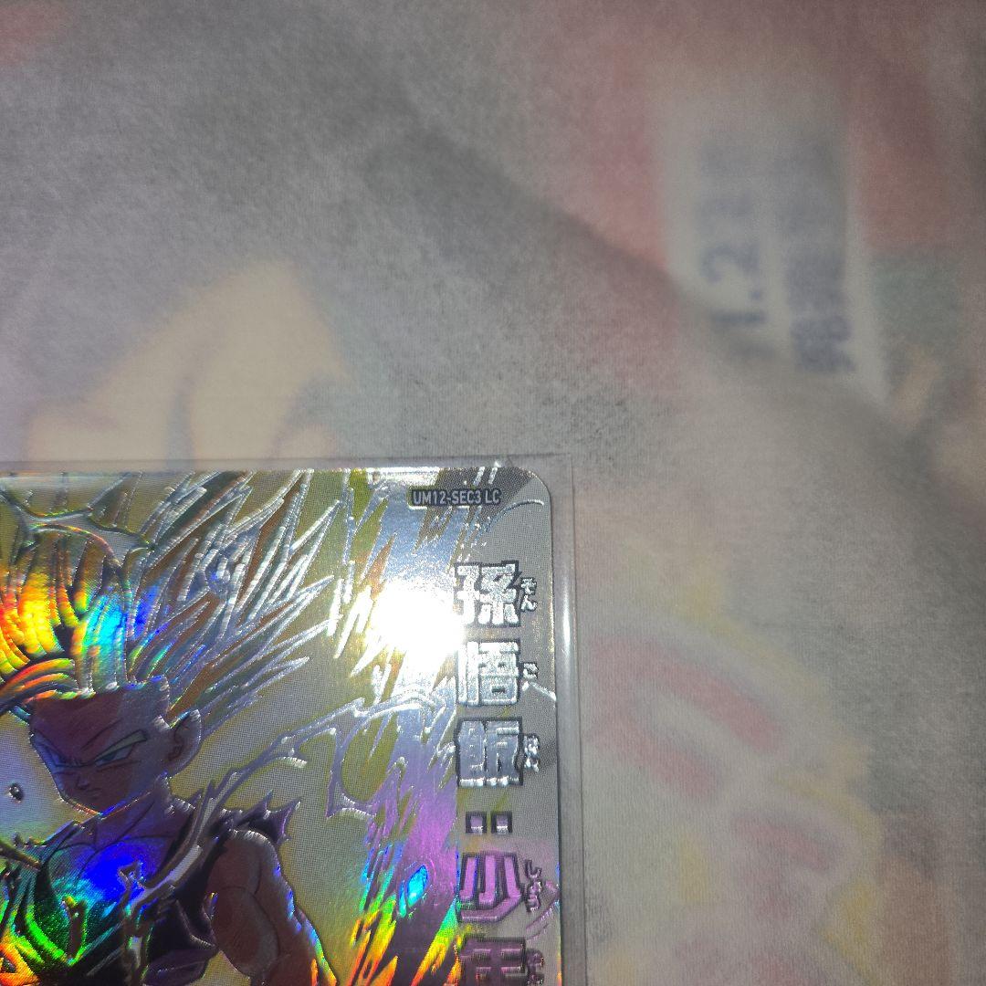 UM12-SEC3 LC孫悟飯:少年期