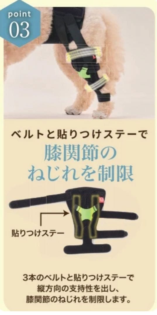 アニサポ ニー anifull 犬用 膝サポーター 前十字靭帯