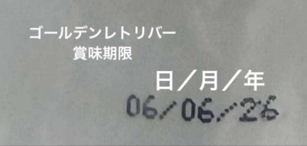 ロイヤルカナン　ゴールデンレトリバー 12kg×2袋　ダンボール発送
