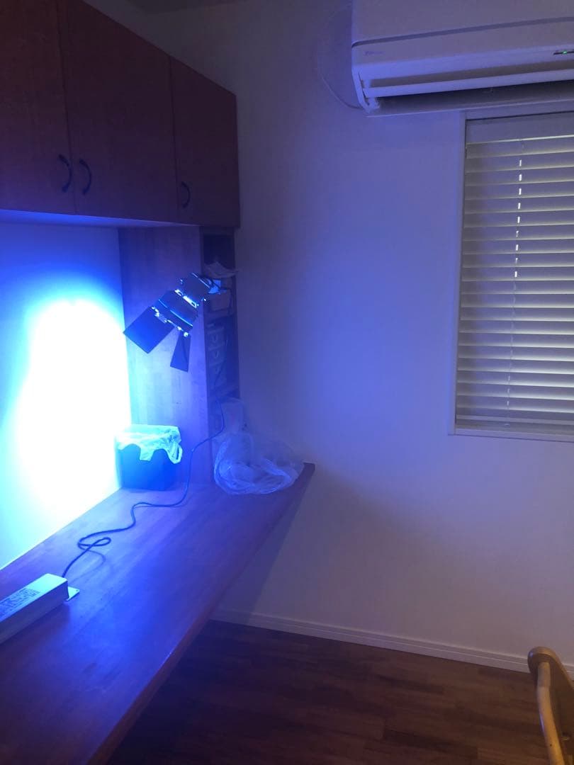 メタハラ　マリンプラズマ　クラマタ