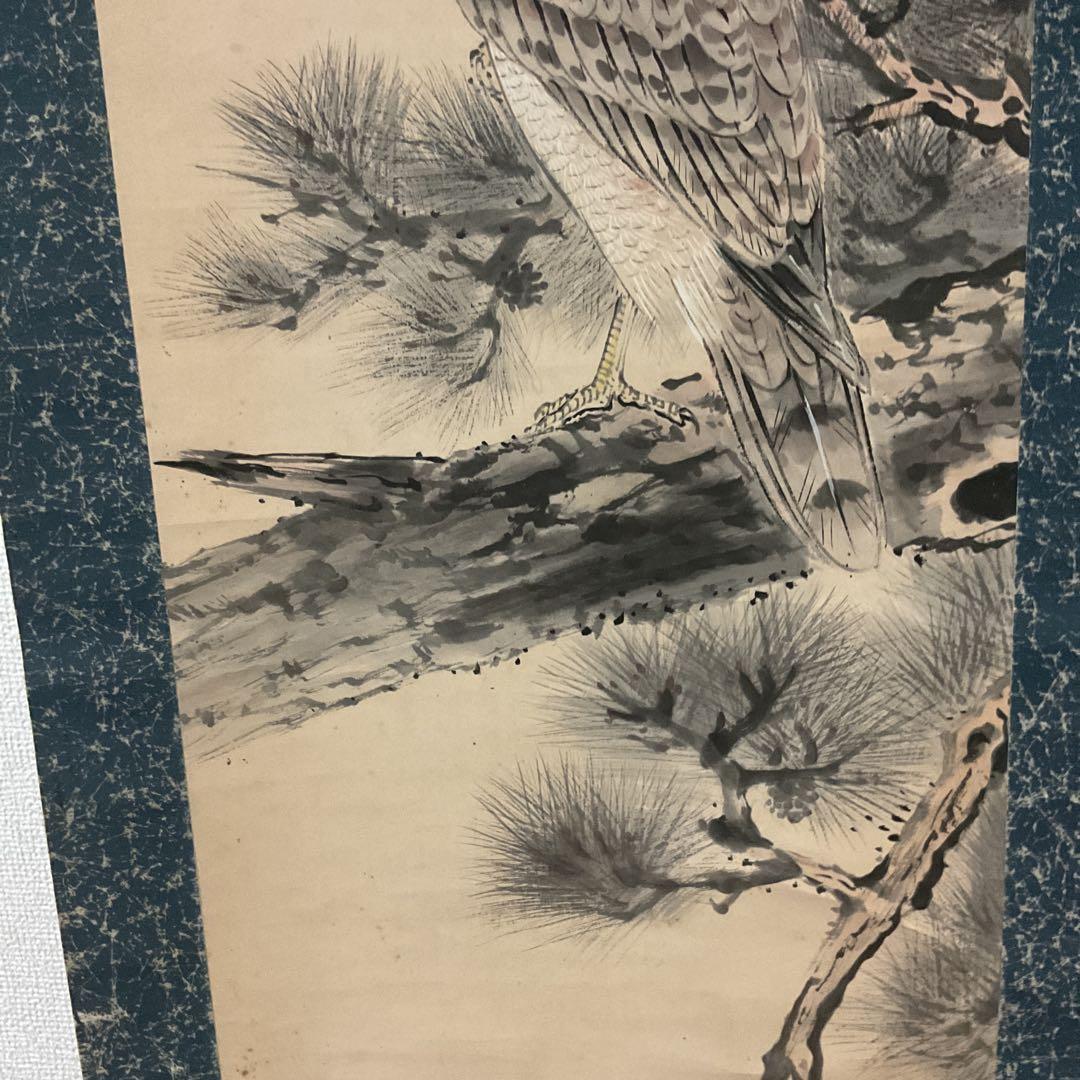 松上鷹図 紙本淡彩水墨画 落款印譜在（生峰）紙表装 軸先 紫檀