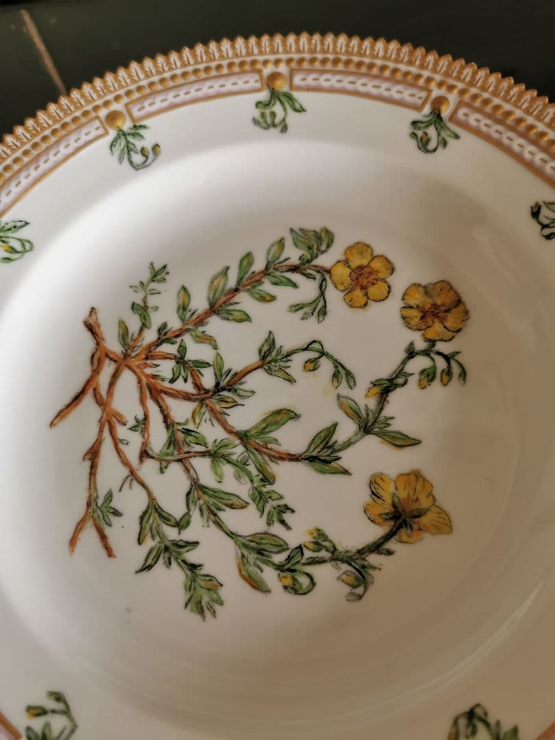 ロイヤルコペンハーゲン至宝φ25フローラダニカ 岩薔薇ヘリアンテム・ヌンムラリム