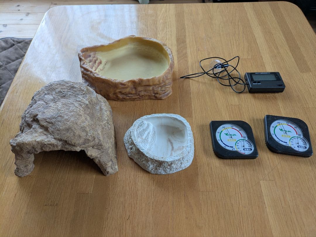 引き取り限定　　GEX　ジェックス　グラステラリウム　6045　おまけ付き