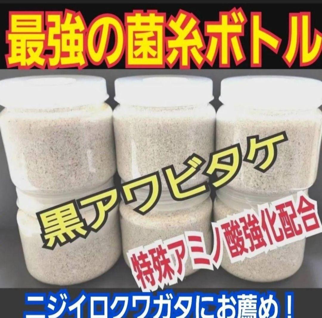 ９本セット！ニジイロクワガタに抜群！黒アワビタケ菌糸瓶　トレハロース、キトサン入