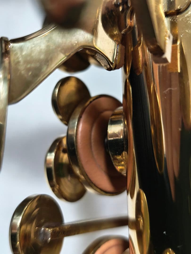 ANTIGUA SAX ／ELDON ALTO SAX GL