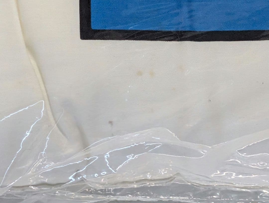 抱き枕 同級生 杉本桜子 希少