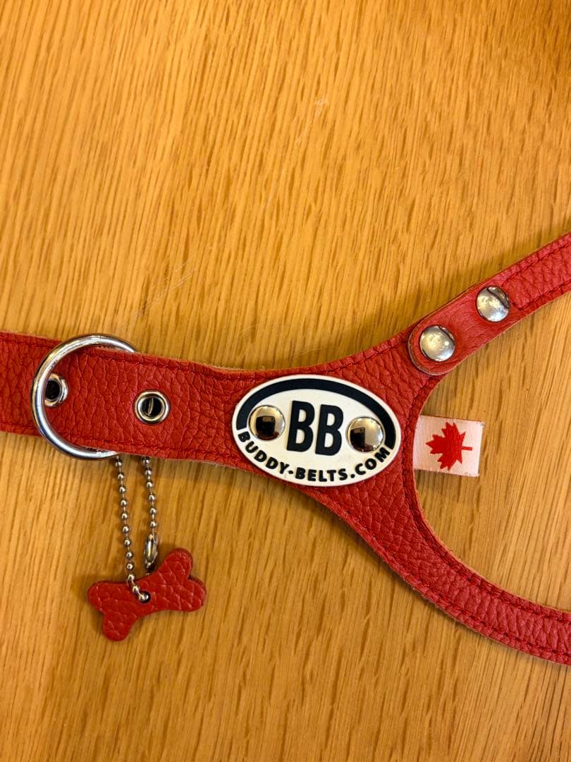 【Buddy Belts】バディベルト ハーネス 6号 レッド 本革 カナダ製