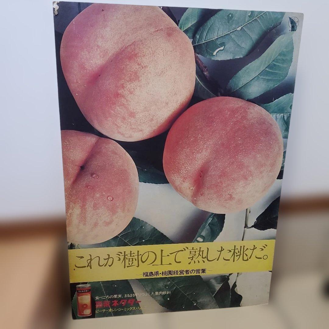 森永ネクター　昭和　 レトロ　希少　非売品