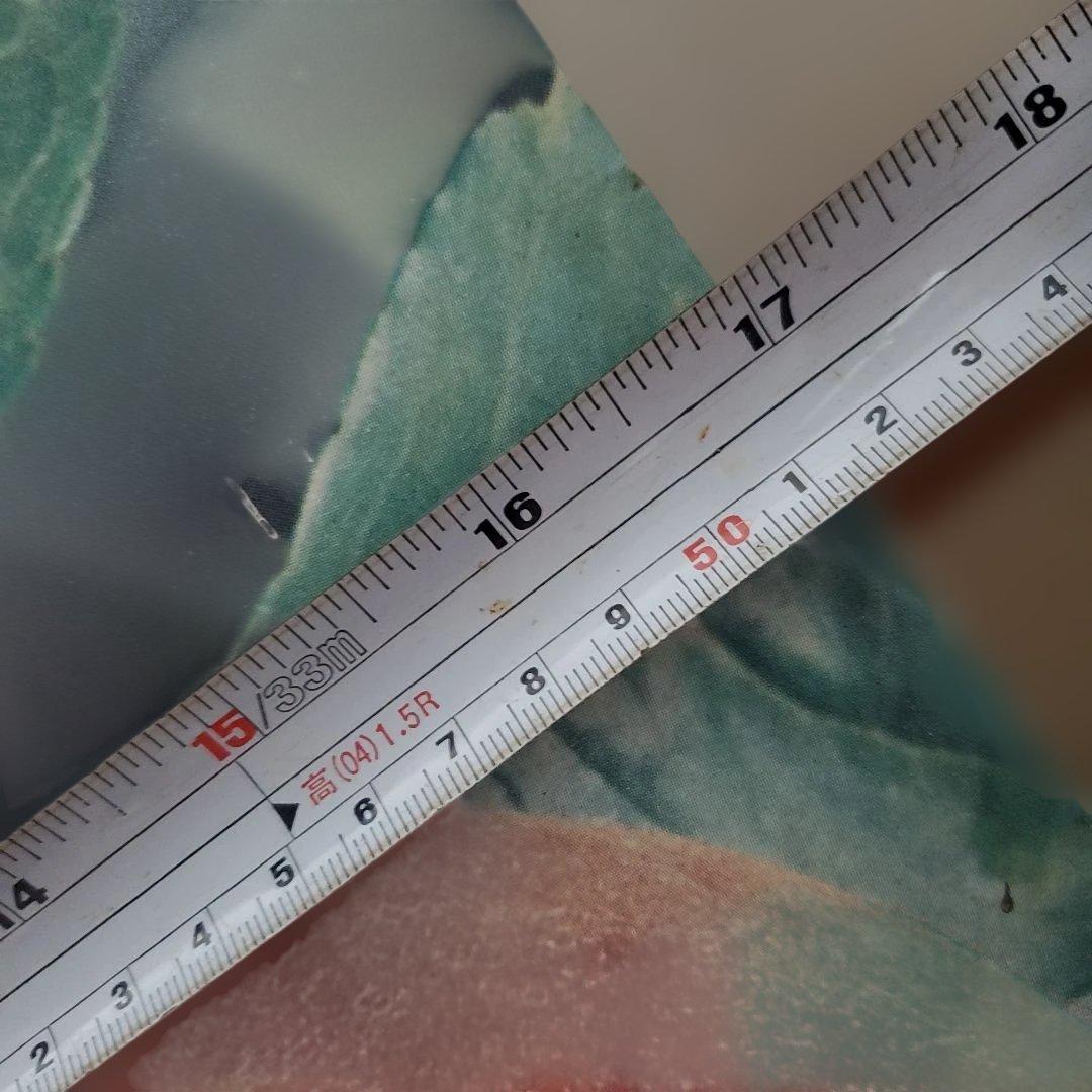 森永ネクター　昭和　 レトロ　希少　非売品