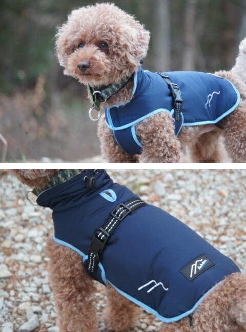 Hakusan・ゼロジャケット