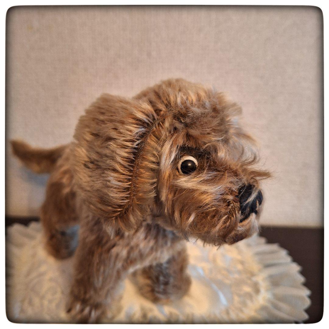 【ワイヤーヘアードダックスフント Raudi ラウディ】ヴィンテージ シュタイフ