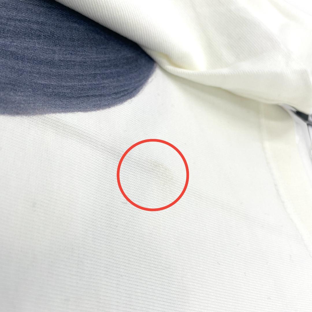 【未使用】ほしのあき× KIKSTYOコラボ/ Air JordanＴシャツ①