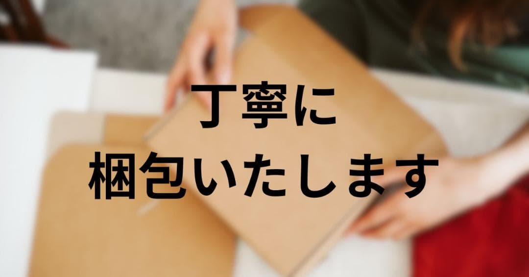 AKPIANスチームクリーナー、スチームクリーナー ハンディ、10ピースのアrm