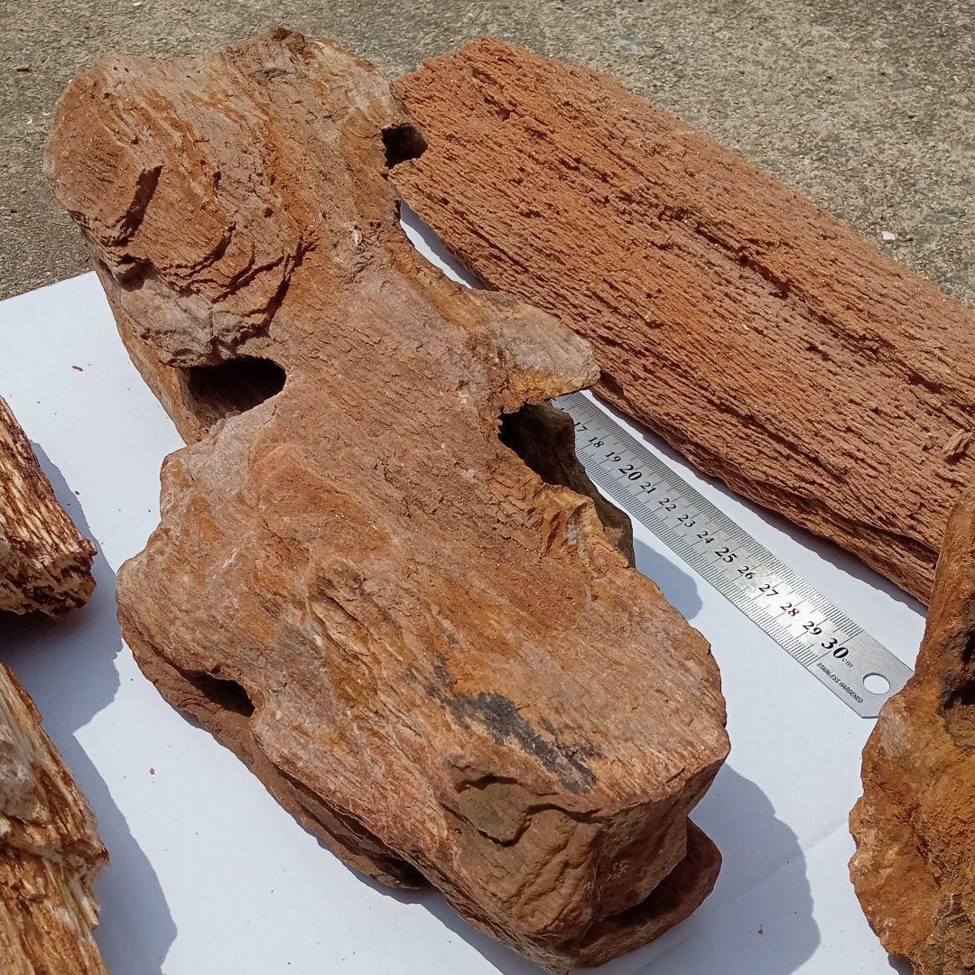 木化石01　約18ｋｇ　アクアリウム 　水槽　レイアウト　石
