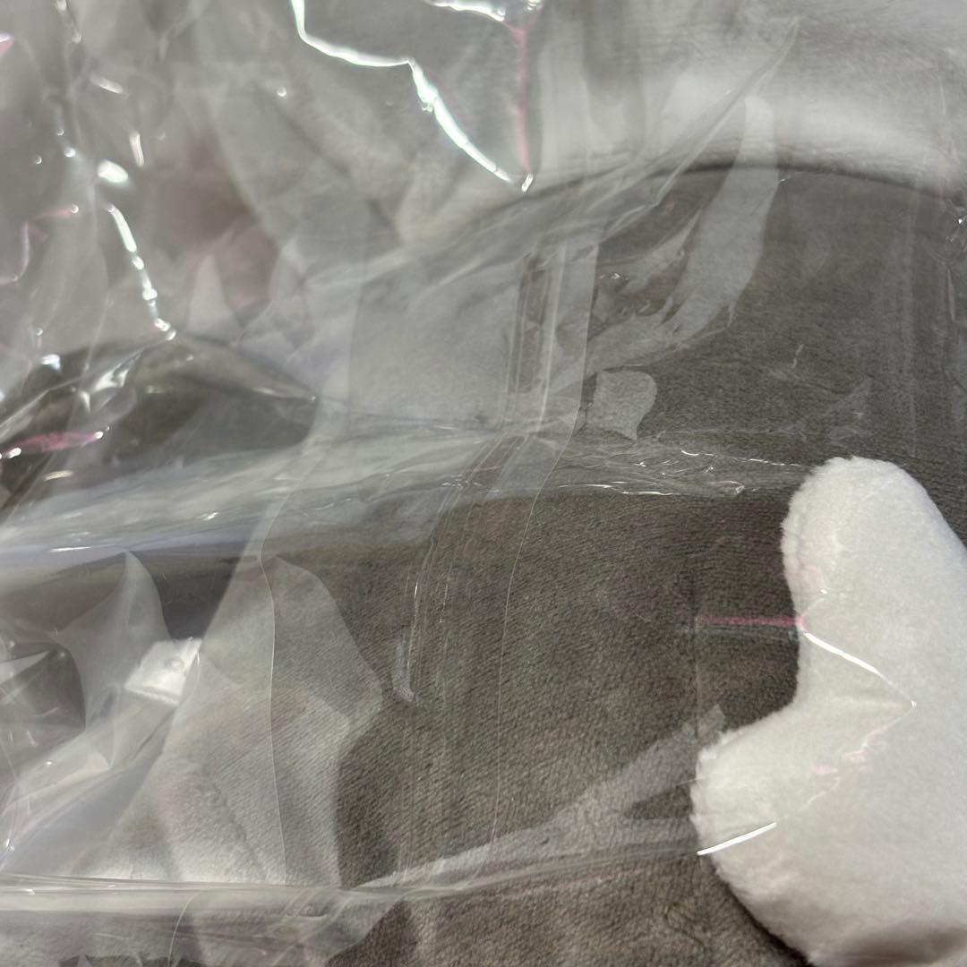 Stray Kids HAN QUOKKA ハン 抱きぬいぐるみ 新品未開封