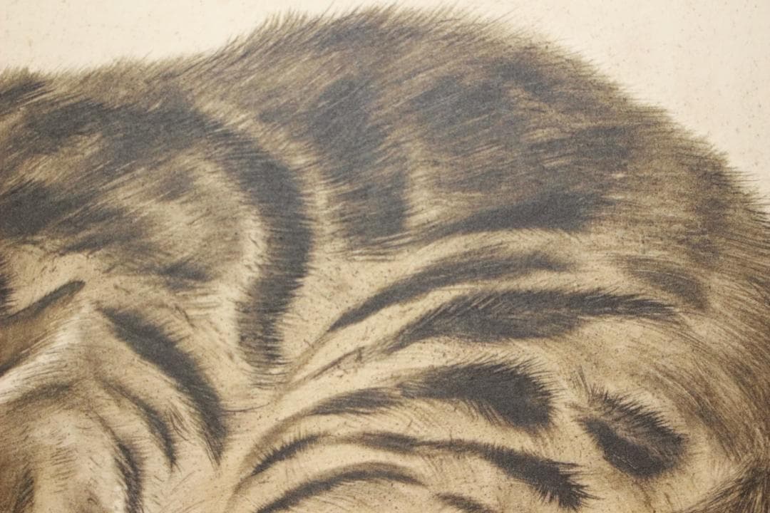 藤田嗣治 エスタンプリトグラフ 「眠る猫」 250部限定