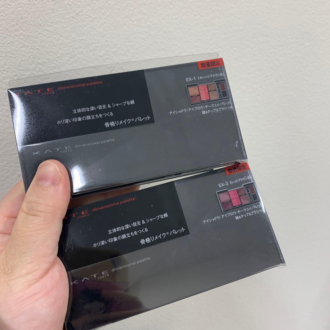 ケイト ディメンショナルパレット EX-1とEX-2合計17点