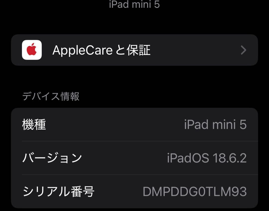 Apple iPad mini 5 スペースグレー 本体　バッテリー容量89%