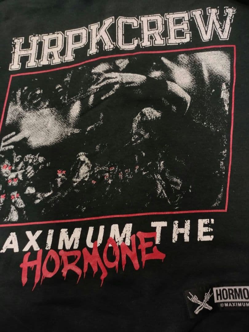 マキシマムザホルモン