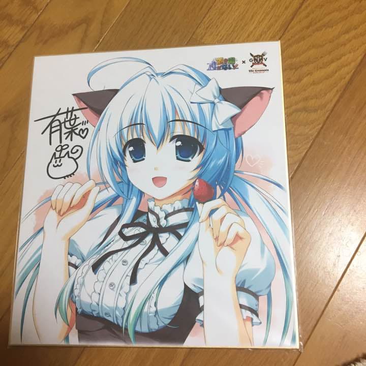 コレクション R18