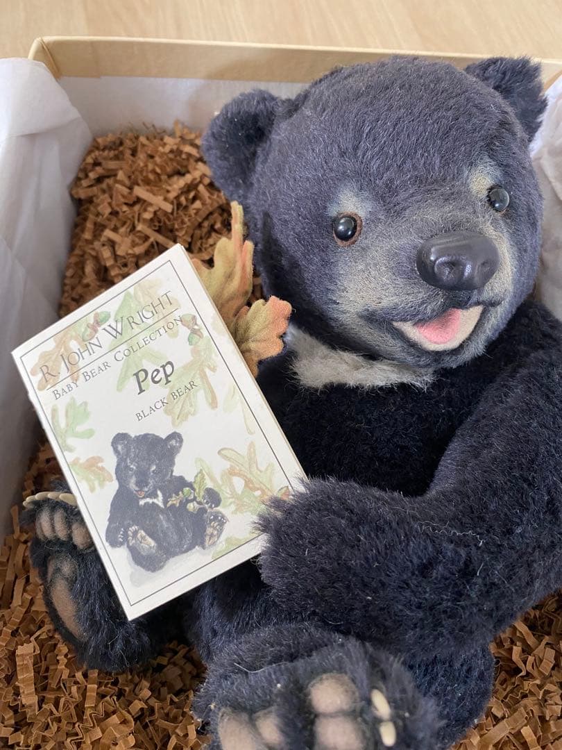 ジョンライト　テディベア　pop