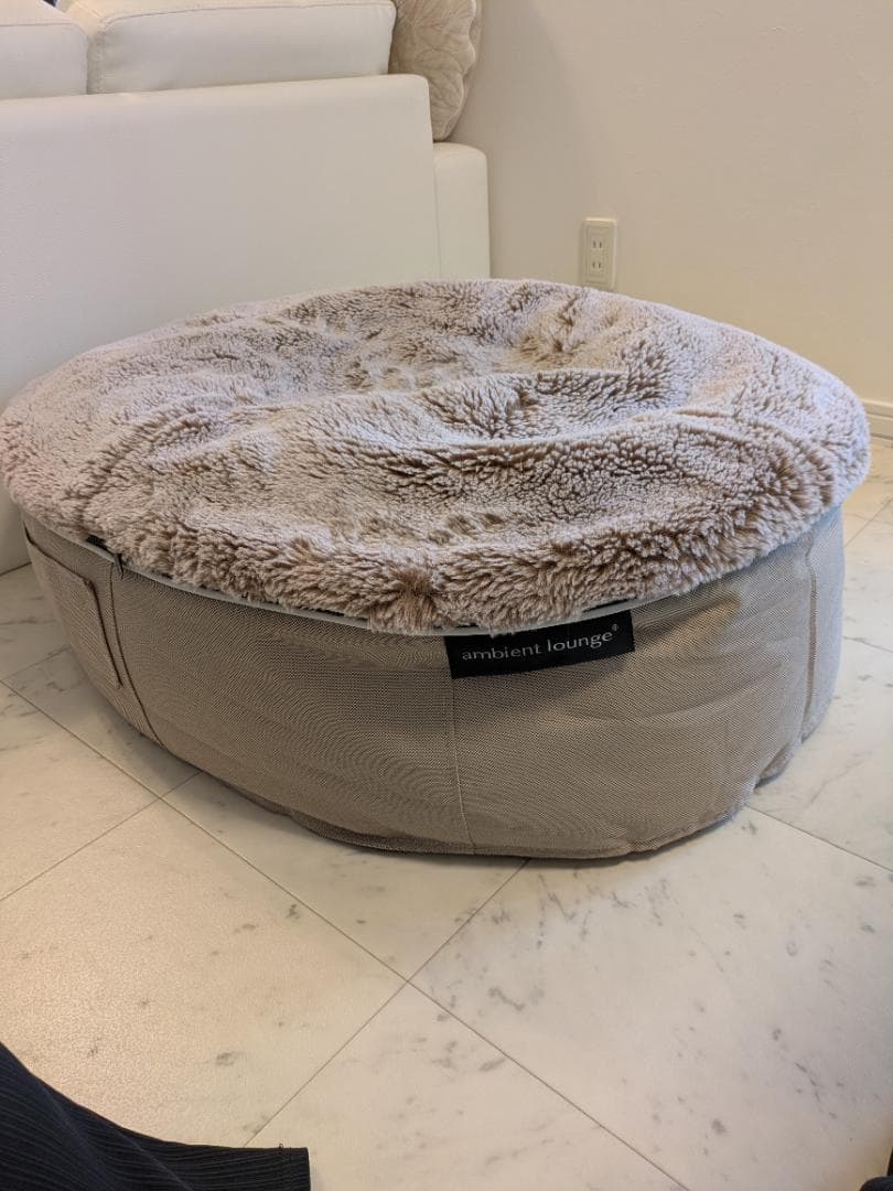 コーギー太郎ambient lounge ペット　アンビエントラウンジ