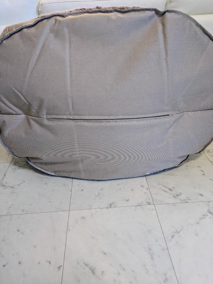 コーギー太郎ambient lounge ペット　アンビエントラウンジ