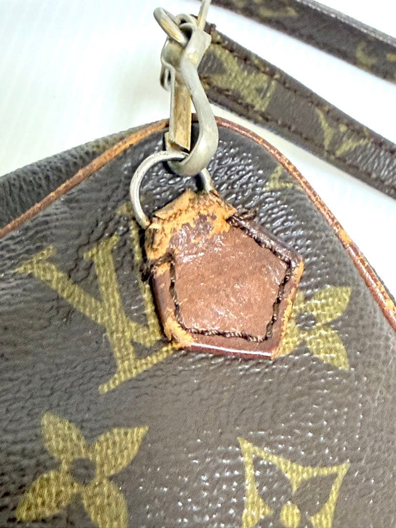 ルイヴィトン LOUIS VUITTON モノグラム ダヌーブ ショルダーバッグ