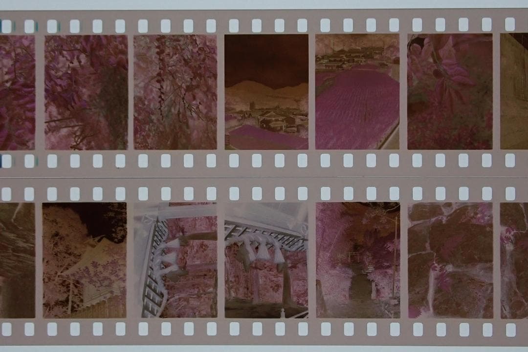 オリンパスペンD2 実写済み OLYMPUS PEN D2