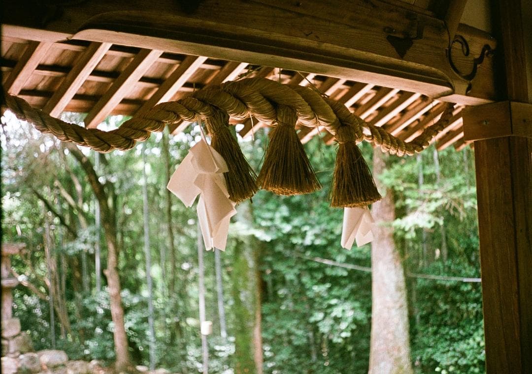 オリンパスペンD2 実写済み OLYMPUS PEN D2