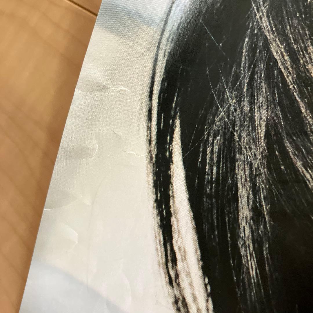 エレファントカシマシ 悲しみの果て ポスター