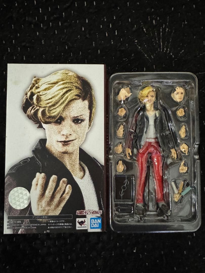 真骨彫　SHFiguarts アンク（人間態）+アンクセット