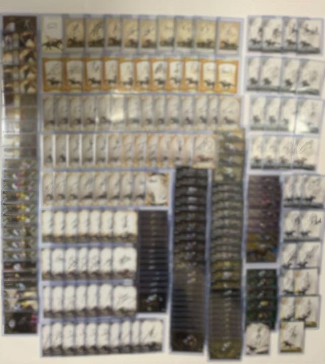 エポック社　epoch ホースレーシングカード　直筆サイン　DNAカード　ウマ娘