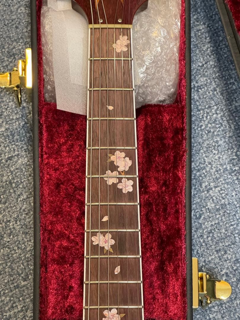 ギター momose MSG SAKURA SP 25 PH SKP GRD