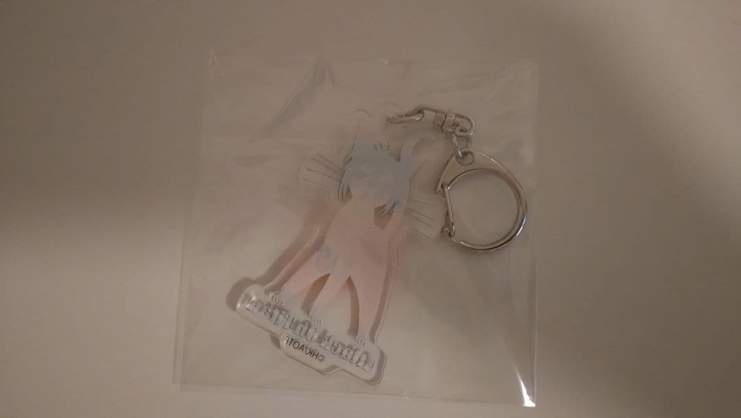 【進撃の巨人】ハンジ　キーホルダー・マグネット