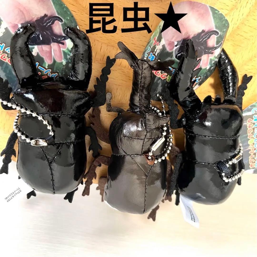 リアル 昆虫 カブトムシ クワガタ マスコット 3種