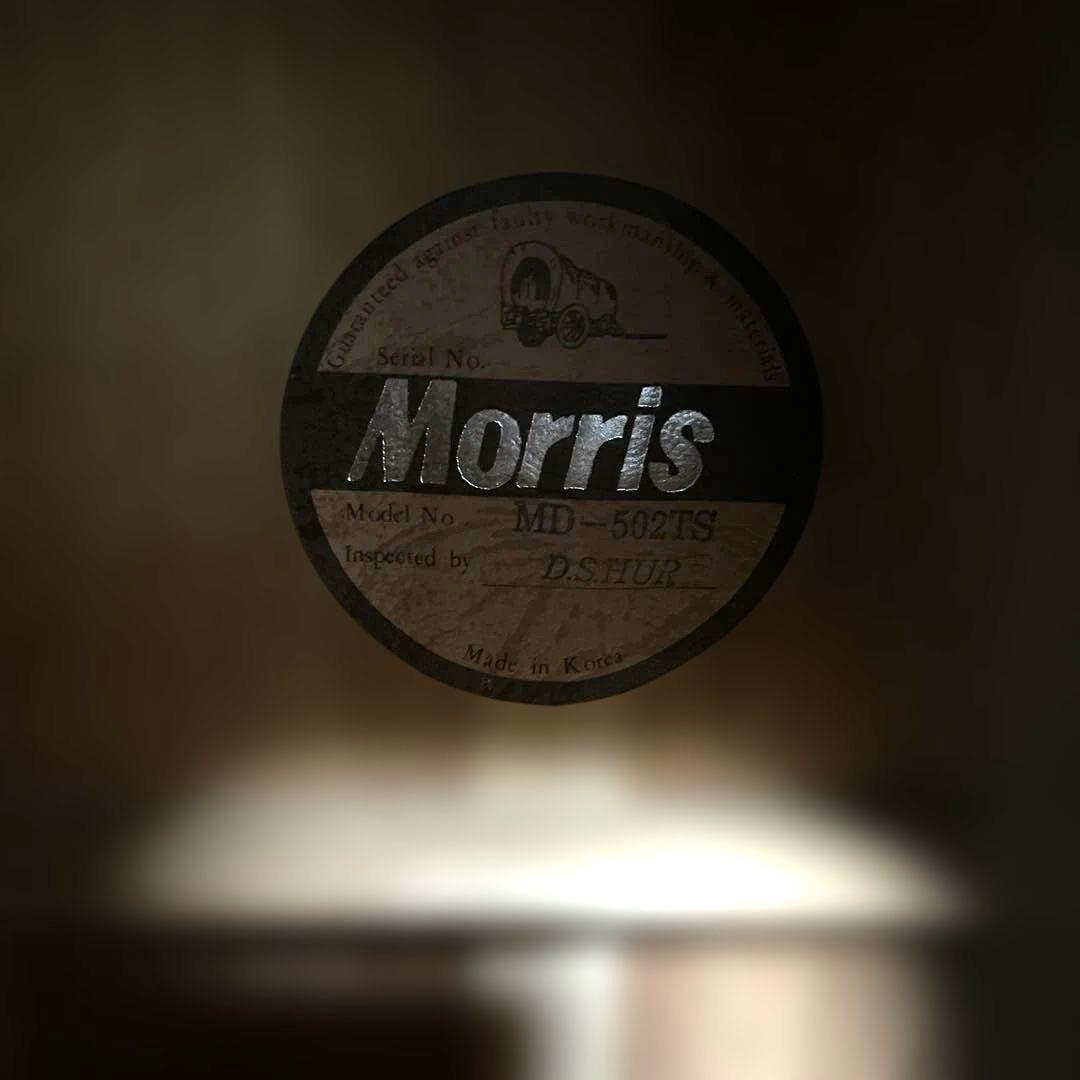 Morris MD~502 モーリス アコースティックギター