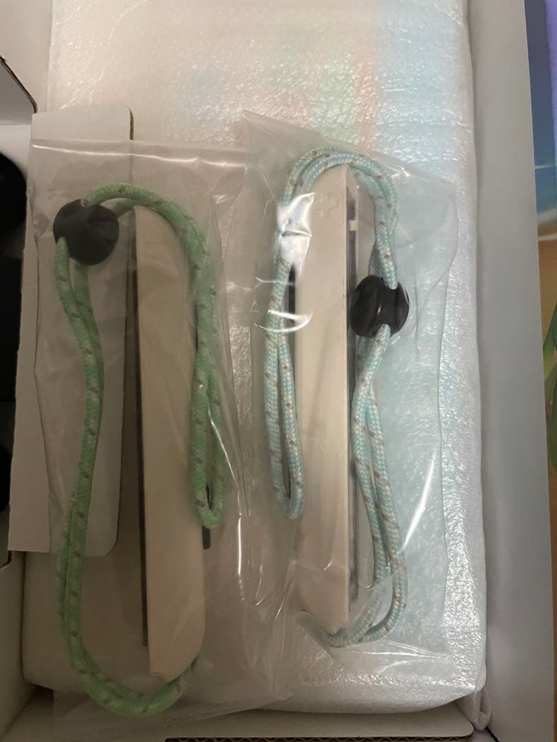 Nintendo Switch あつ森Ver. ケース&SDカード付き