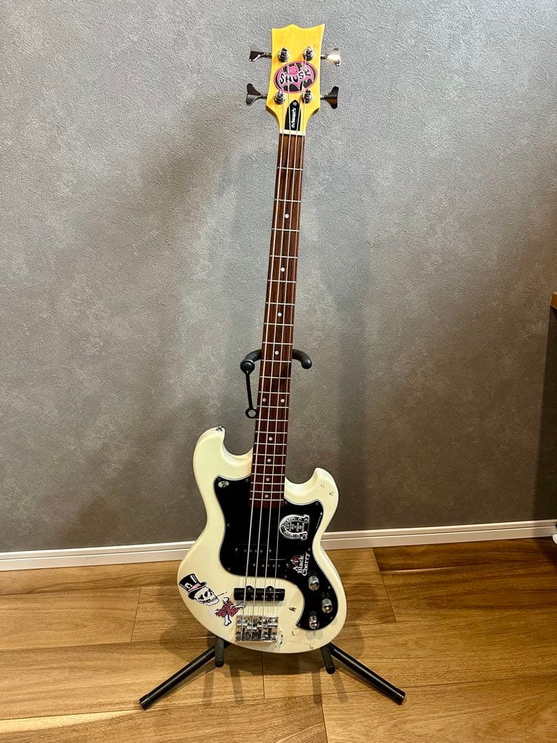 EDWARDS SHUSE ベース E-UT Acid Black Cherry