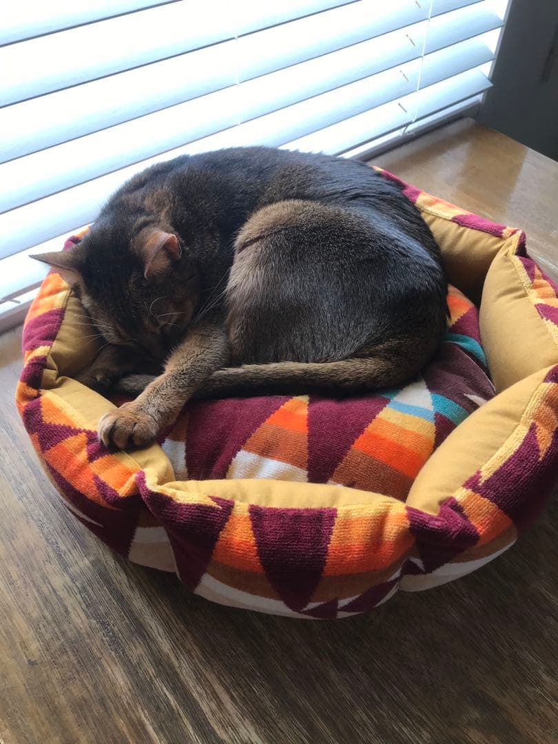 ペットベッド　ハンドメイド459 ペンドルトン　リメイク　猫ベッド　犬ベッド